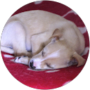 Jane Cameron profile picture