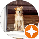 Mark Griggs profile picture