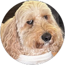 Robert Howes profile picture