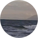 Maureen Adams profile picture